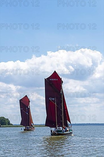 Zeesboot Regatta