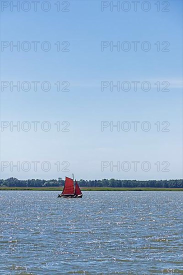 Sailing boat