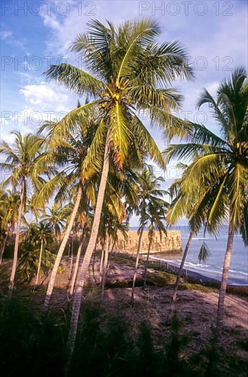 Kovalam