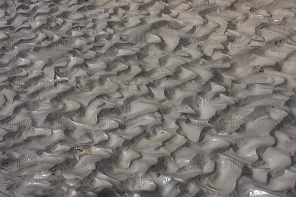 Curled brown mud and silt at the tidal creek vom forest lake