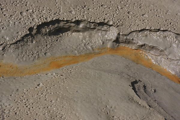 Brown mud and silt at the tidal creek vom forest lake