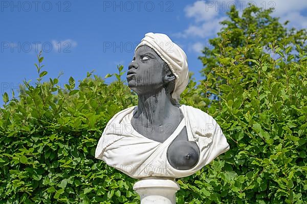 Portrait of an African Woman