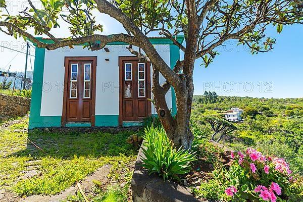 Canarian house in Las Tricias