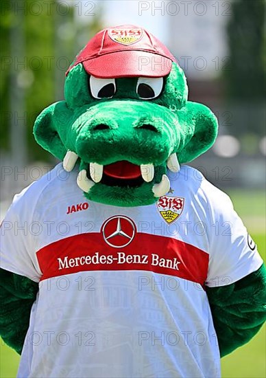 Mascot Fritzle VfB Stuttgart Portrait appointment VfB Stuttgart 2022 2023 Licensed player Football 1st Bundesliga Men GER Stuttgart 05. 07. 2022