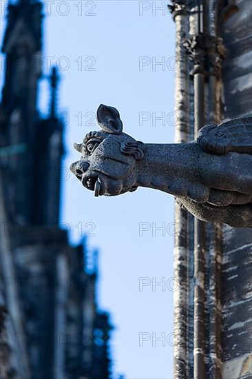 Mystical figures as gargoyles at Cologne Cathedral