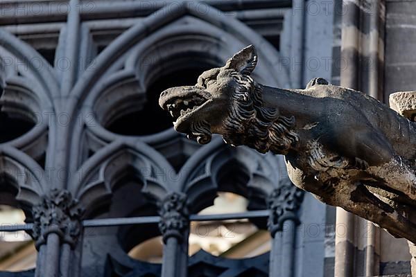 Mystical figures as gargoyles at Cologne Cathedral