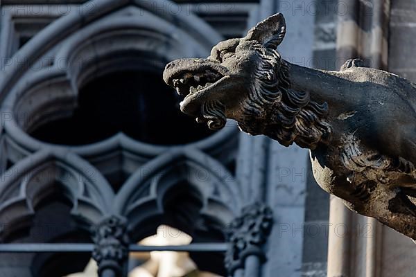 Mystical figures as gargoyles at Cologne Cathedral