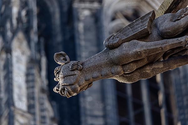 Mystical figures as gargoyles at Cologne Cathedral