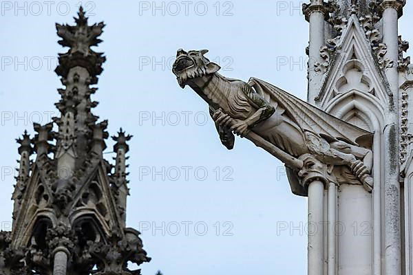 Mystical figures as gargoyles at Cologne Cathedral