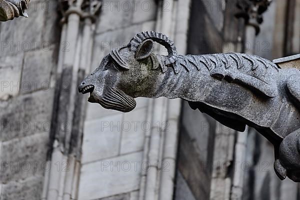 Mystical figures as gargoyles at Cologne Cathedral