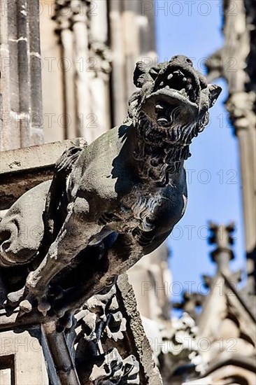 Mystical figures as gargoyles at Cologne Cathedral