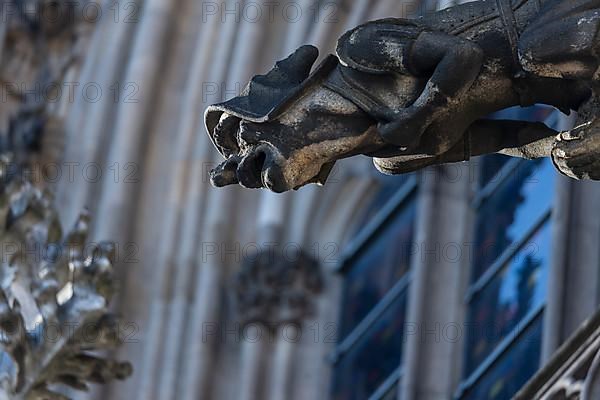 Mystical figures as gargoyles at Cologne Cathedral