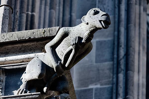 Mystical figures as gargoyles at Cologne Cathedral