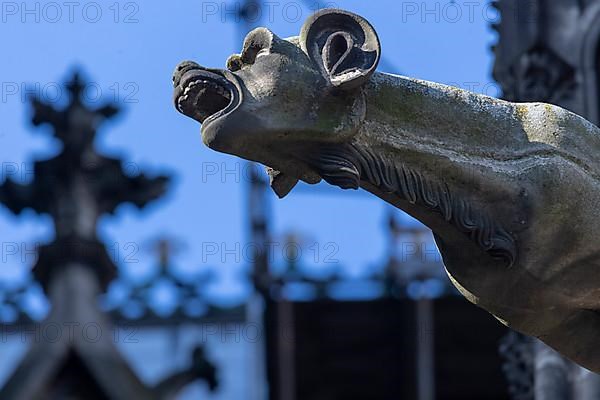 Mystical figures as gargoyles at Cologne Cathedral