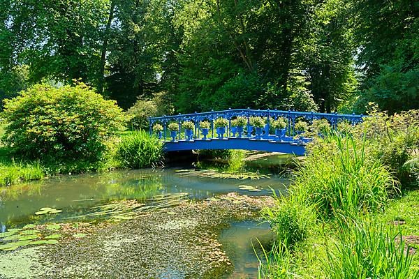 Fuchsia Bridge