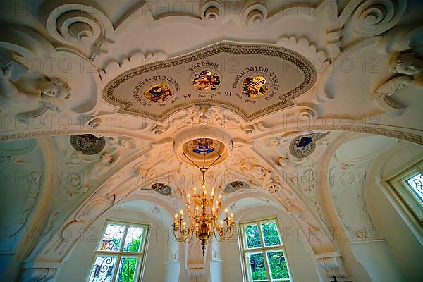 Ceiling vault