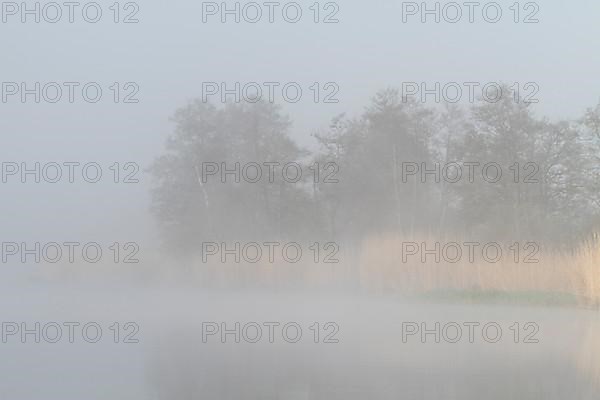 Morning mist over the river Peene