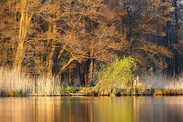 Evening atmosphere by the river