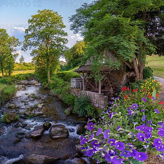 Old mill on the river