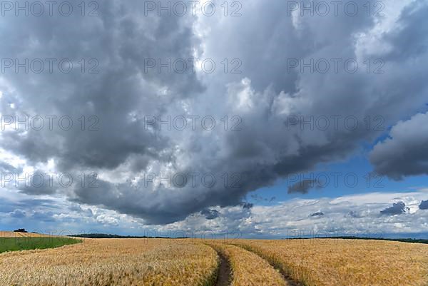 Rain clouds