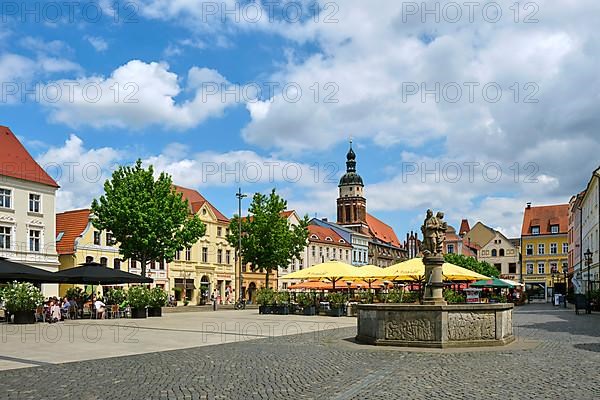 Altmarkt with market fountain by sculptor Johannes Peschel