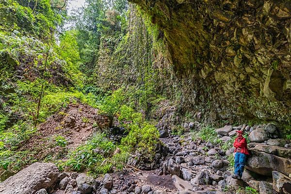 Hikers in the laurel forest of the water gorge