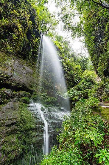 Waterfall in the water gorge