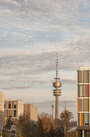 Television tower