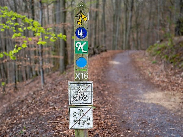 Wooden posts with trail markings and symbols for hiking trails