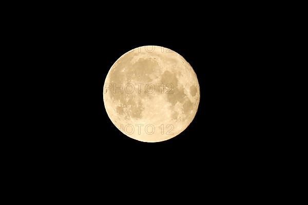 Rising full moon over Speyer