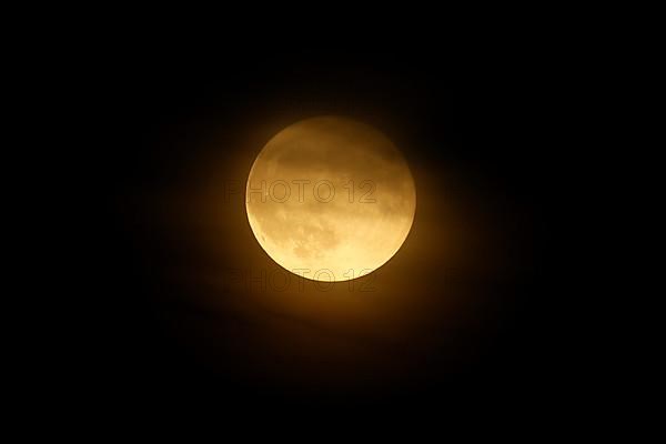 Rising full moon over Speyer