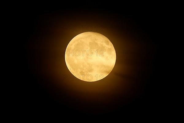 Rising full moon over Speyer