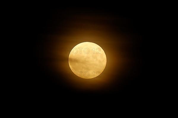 Rising full moon over Speyer