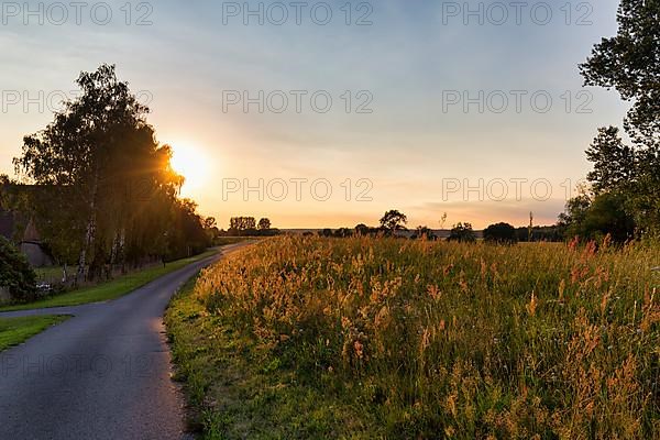 Sunset behind trees