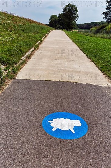 Cycle path on the dyke