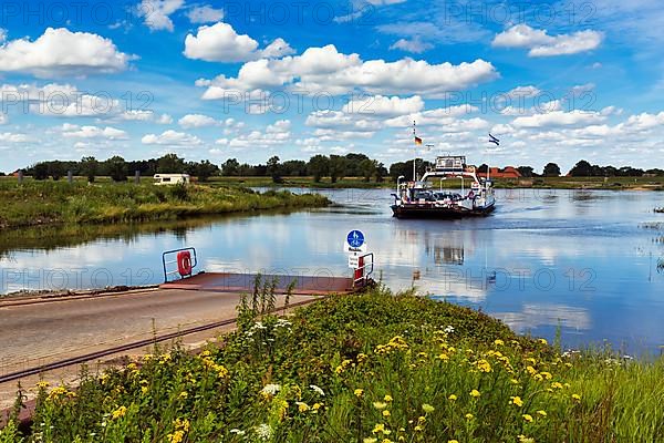 Ferry crossing the Elbe in summer