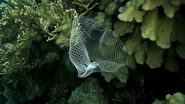 Discarded kitchen plastic storage net shopping hang down of coral reef. Plastic pollution of the ocean. Plastic mesh bag hanging on a beautiful coral reef. Red sea