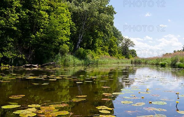 Alluvial landscape