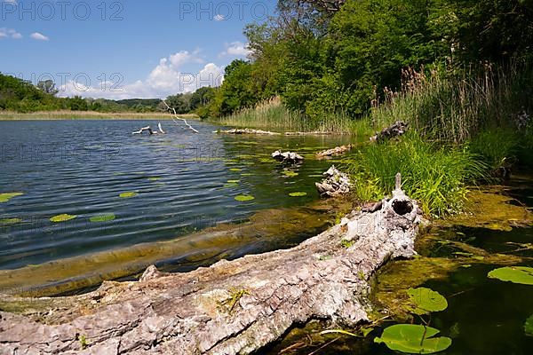 Alluvial landscape