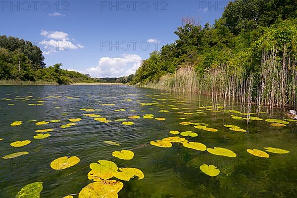 Alluvial landscape