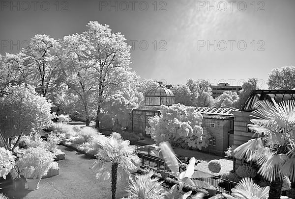 Greenhouse at the Moorish country house