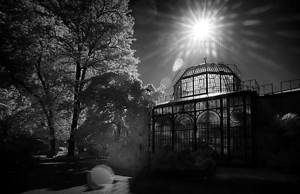 Greenhouse at the Moorish country house