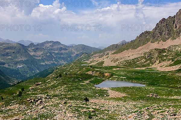 View of 2350 metre high Passo Lombarda pass above tree line on the French-Italian border