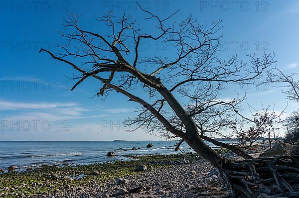 Coastal landscape near Lietzow on the island of Ruegen