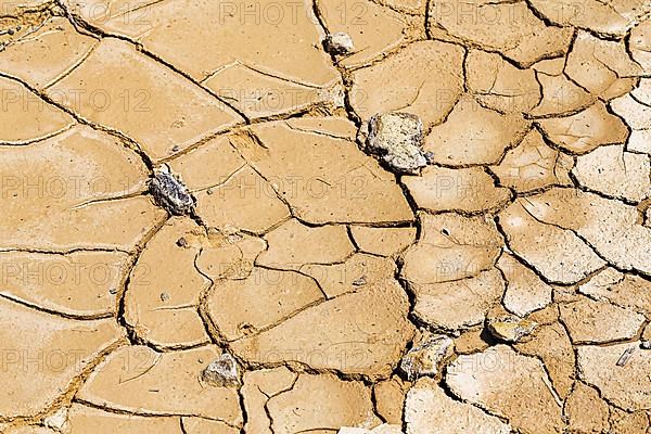 Parched soil and stones