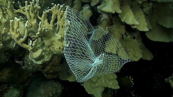 Discarded kitchen plastic storage net shopping hang down of coral reef. Plastic pollution of the ocean. Plastic mesh bag hanging on a beautiful coral reef. Red sea