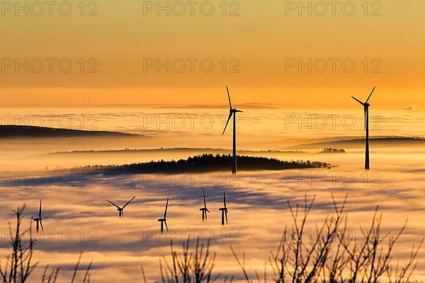 Wind turbines and forest rising from cloud cover