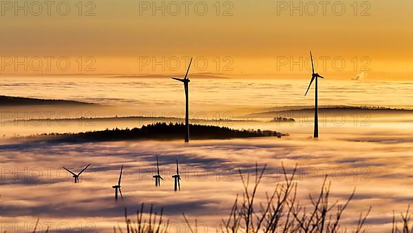 Wind turbines and forest rising from cloud cover