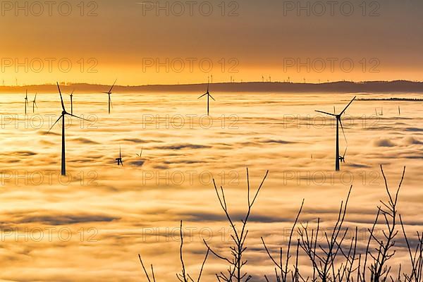 Wind turbines rising from cloud cover