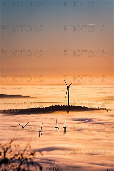 Wind turbines and forest rising from cloud cover